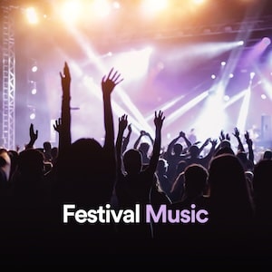Festival Music Spotify playlist cover